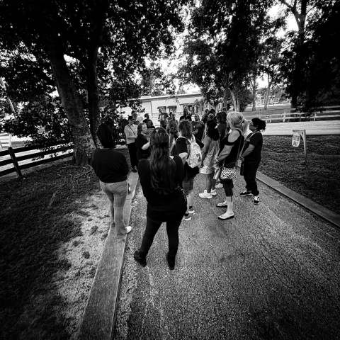 Black and white photo of a group of people standing on a tree-lined path.