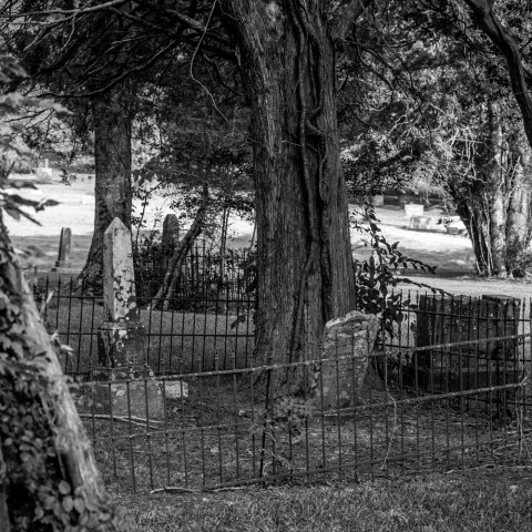 Black and white image of an old cemetery with trees and wrought iron fence.