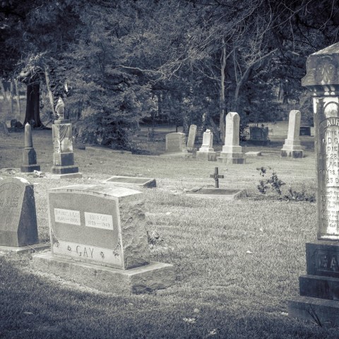 Monochrome cemetery with various tombstones under trees and grass around.